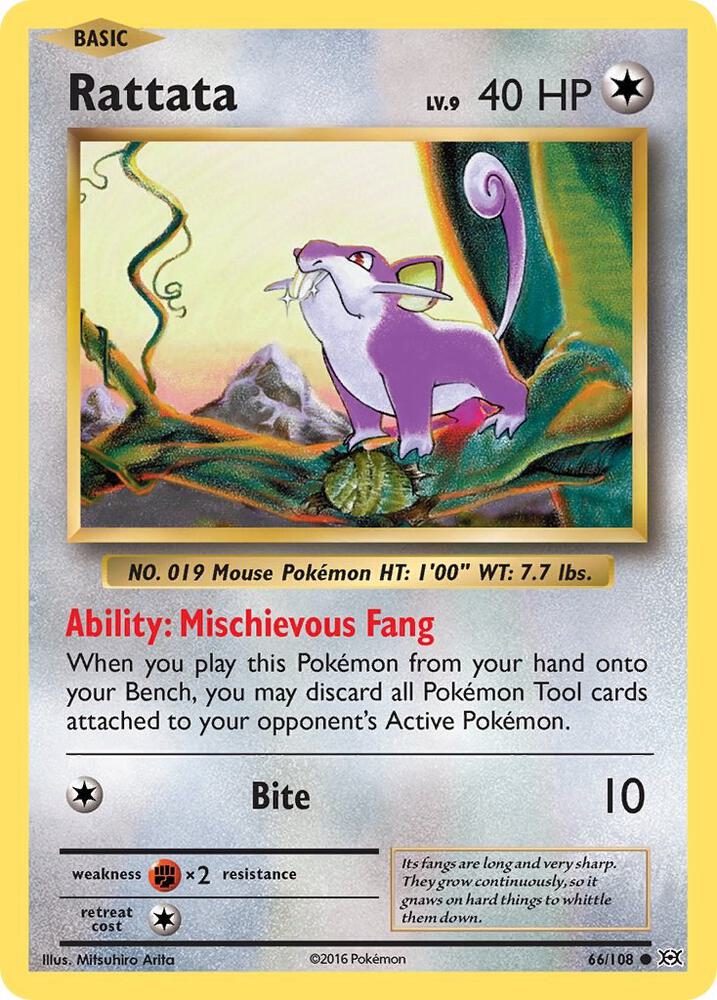 Rattata 66/108 XY Evolutions