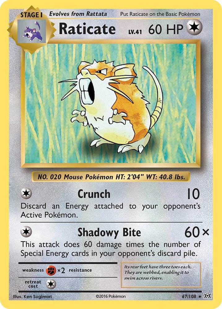 Raticate 67/108 XY Evolutions